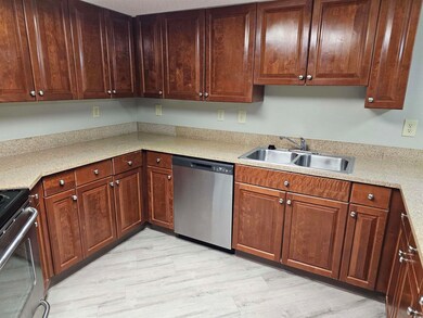Kitchen with stainless steel appliances, light woo