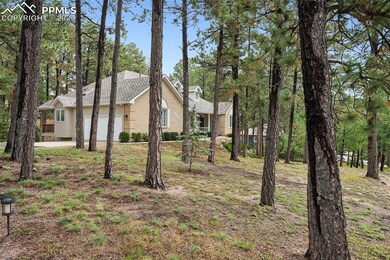 1057 Golden Pine Ln, Monument, CO 80132 - photo 4