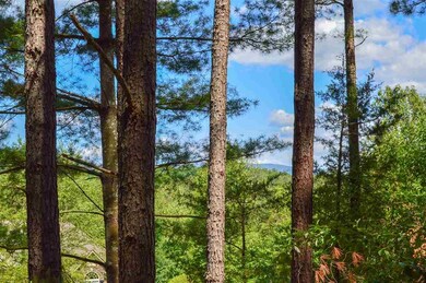 0 Guildford Farm Rd unit 604314, Ruckersville, VA 22968 - photo 4