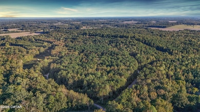 1 Falcon View Dr, Cedar Grove, TN 38388 - photo 3