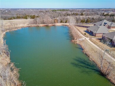 Pond out back