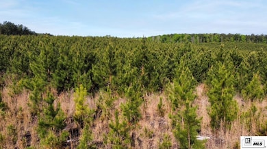 000 Anadarco Rd, Eros, LA 71238 - photo 5