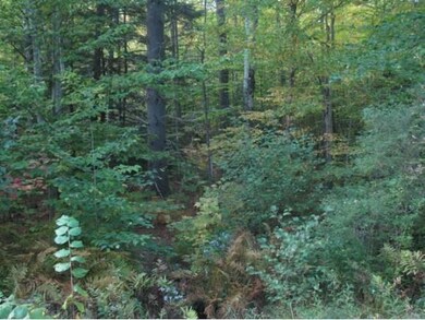 0 Upper Mad River Rd unit 7 4863640, Thornton, NH 03285 - photo 3