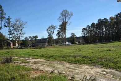Lot 4 Gold Nugget Point, Prosperity, SC 29127 - photo 4