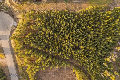 69 Plenty Coups Rd, Gallatin Gateway, MT 59730 - photo 3