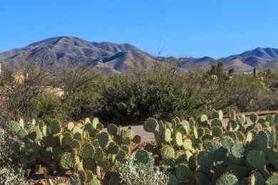 KC Creative Design Tucson Photography (1