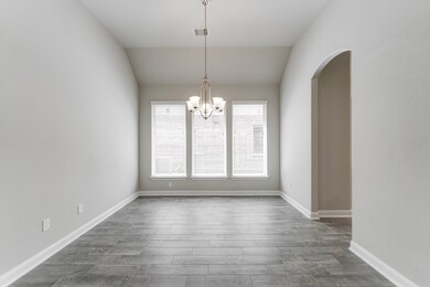 4914 Lacebark Pine Trail, Rosenberg, TX 77471 - photo 7