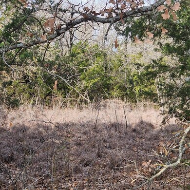 TBD Cr 2395, Alvord, TX 76225 - photo 7