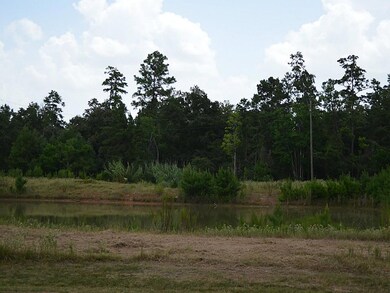 29026 Village Ridge Ct, Magnolia, TX 77355 - photo 6