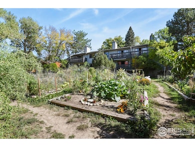 Community Garden
