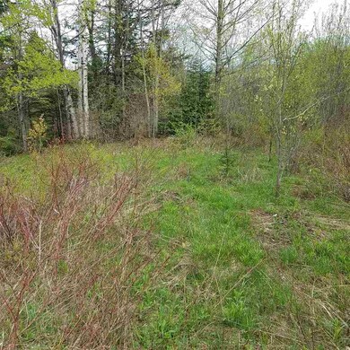 0 Newark St unit 4714978, West Burke, VT 05871 - photo 2