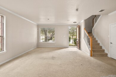 8102 Jalane Park, San Antonio, TX 78255 - photo 7