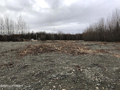 9701 E Palmer-Wasilla Hwy, Palmer, AK 99645 - photo 2
