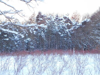 80380 42nd St, Decatur, MI 49045 - photo 7