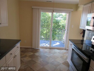 319 Chapel Ct, Walkersville, MD 21793 - photo 4