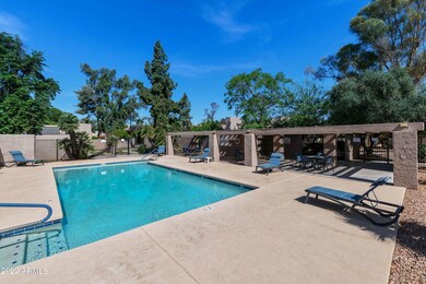 Community Pool Area
