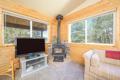 Wood Burning Stove