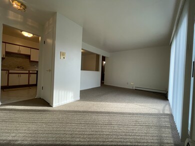 17963 Amherst Ct unit 201, Country Club Hills, IL 60478 - photo 4