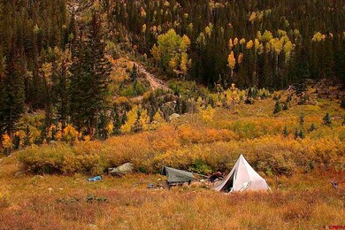 TBD Needle Creek Trail, Durango, CO 81301 - photo 5