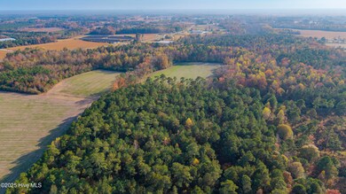 Tr 4a Off High School, Teachey, NC 28464 - photo 7