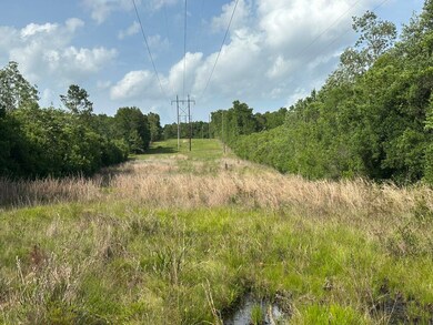 79+/- AC Old River Rd, Baker, FL 32531 - photo 4