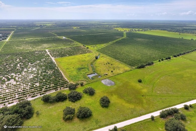 5015 Fish Branch Rd, Zolfo Springs, FL 33890 - photo 4