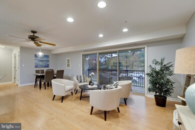 1002 Primrose Rd unit 304, Annapolis, MD 21403 - photo 5