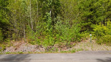 Lot 12 Grant Rd, Orono, ME 04473 - photo 2