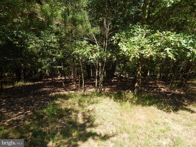 35 Montevideo Rd, Berkeley Springs, WV 25411 - photo 2