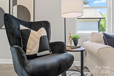 215 Division Ave, Salisbury, NC 28144 - photo 6