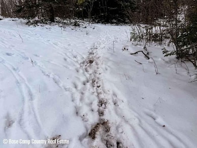 0 Forest Hill Dr unit 25754675, Townsend, WI 54175 - photo 2