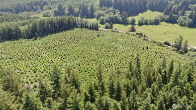 0 Butte Creek Rd, Raymond, WA 98577 - photo 4