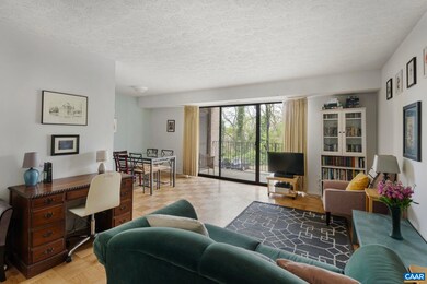 511 1st St N unit 309, Charlottesville, VA 22902 - photo 7