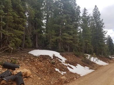 Slope from Road