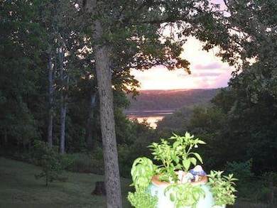 2050 Savage Rd, Kirbyville, MO 65679 - photo 4