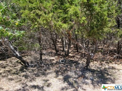 5267 Comanche Dr, Temple, TX 76502 - photo 2