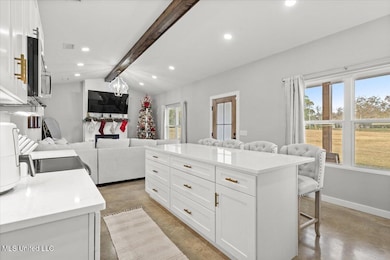 110 Brashier Ln, Lucedale, MS 39452 - photo 5