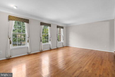 5902 Bloomingdale Terrace, Rockville, MD 20852 - photo 3