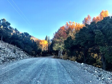 233 Lake of the Falls Pkwy, Mosca, CO 81146 - photo 6