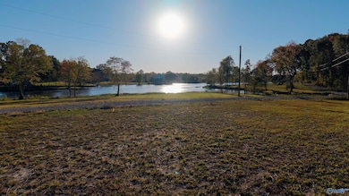 Lot 47 County Road 115, Cedar Bluff, AL 35959 - photo 4