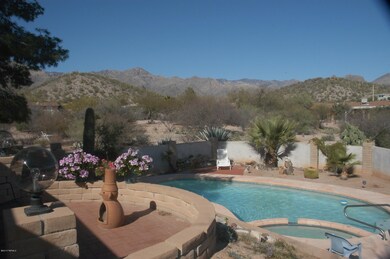 Gorgeous backyard