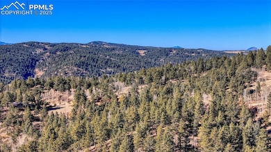 741 Pikes Peak Dr, Divide, CO 80814 - photo 7