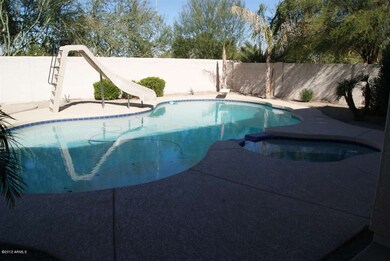 Pool in Yard