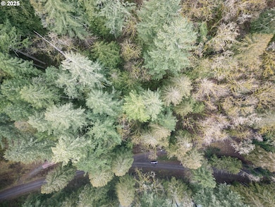 000 Serne Rd, Estacada, OR 97023 - photo 6