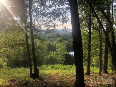 31 Timber Hill Dr unit LOT 19, Leicester, NC 28748 - photo 4