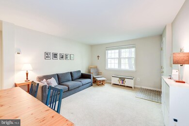2841 S Wakefield St unit C, Arlington, VA 22206 - photo 5