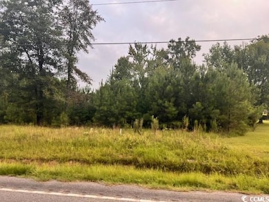 View of local wilderness