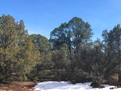 41 Bullock Rd, Ash Fork, AZ 86320 - photo 6