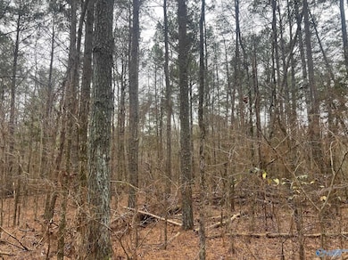 123 Hitt Rd, Decatur, AL 35603 - photo 6