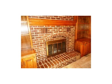 Close-up of wood-burning fireplace with gas starte